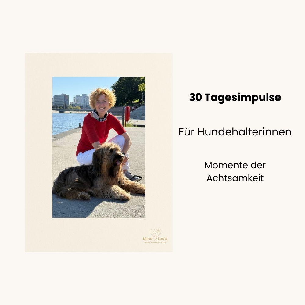 Deckblatt für das Dokument - 30 Tagesimpulse-Mind & Lead