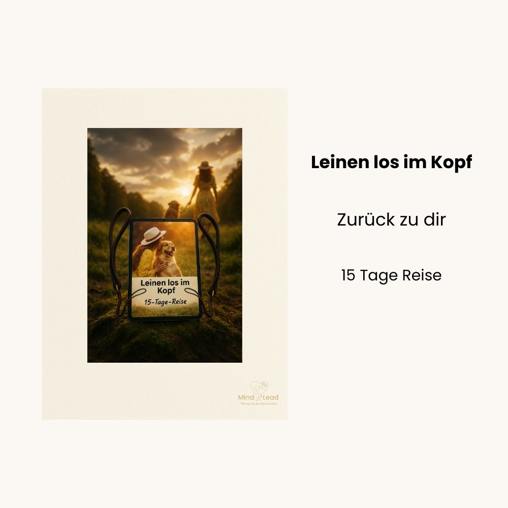 Selbstlernkurs "Leinen los im Kopf" - Kursbild