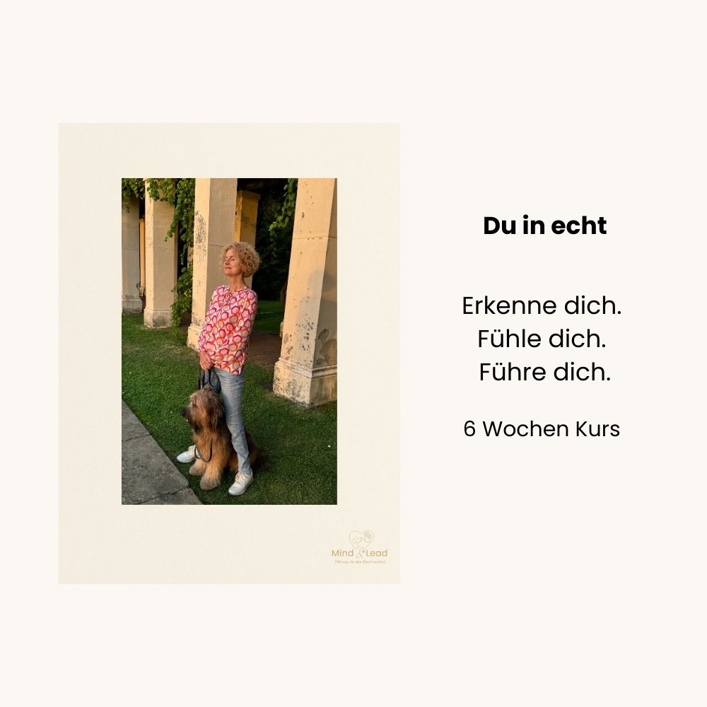 Selbstlernkurse "Du in echt". Kursbild