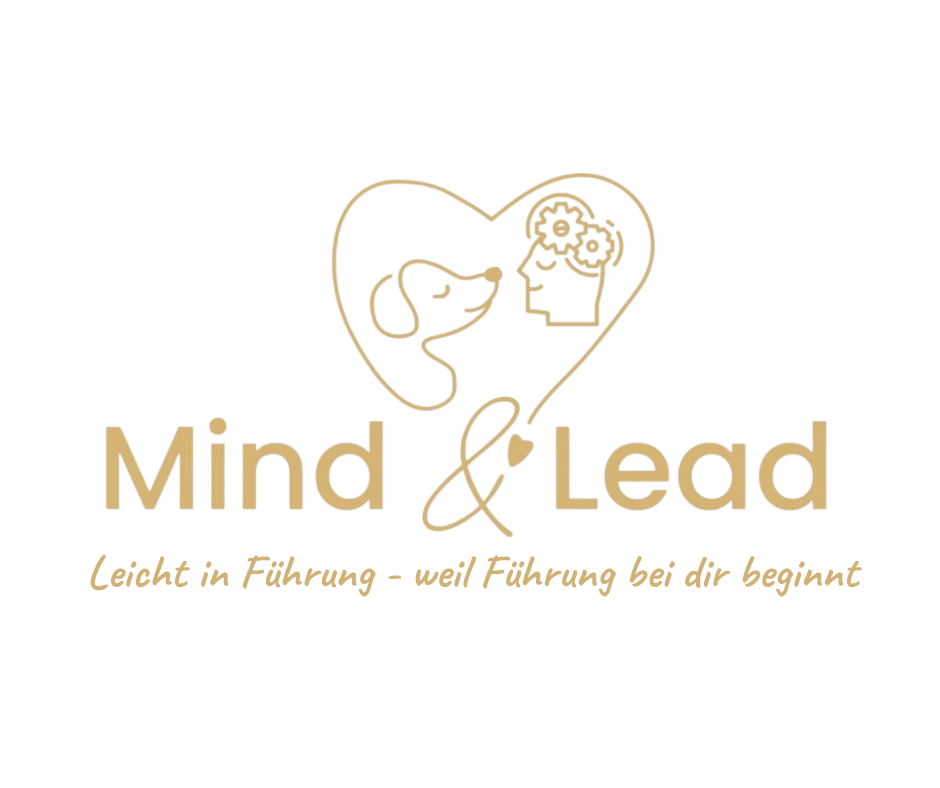 Logo von Mind & Lead