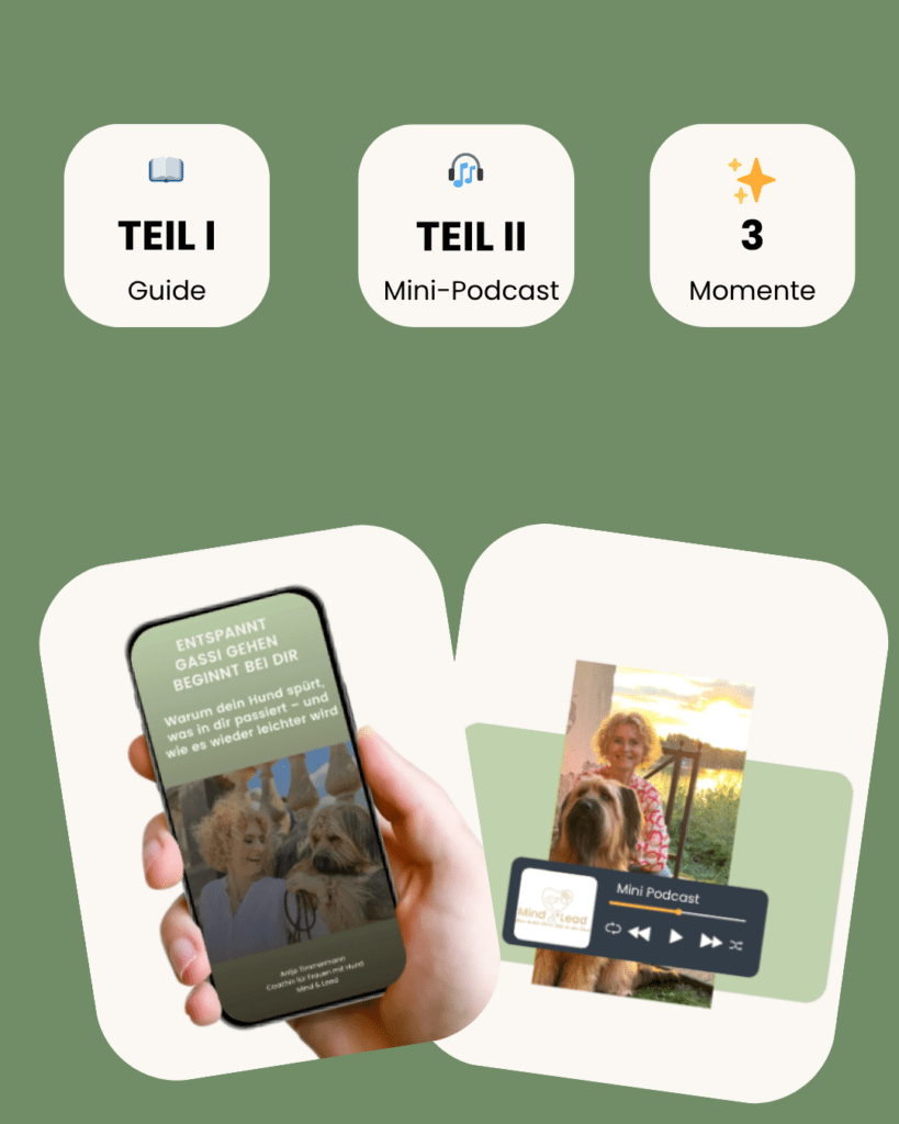 Das Mockup zeigt den kostenlosen Guide und Mini-Podcast für 3 besondere Momente