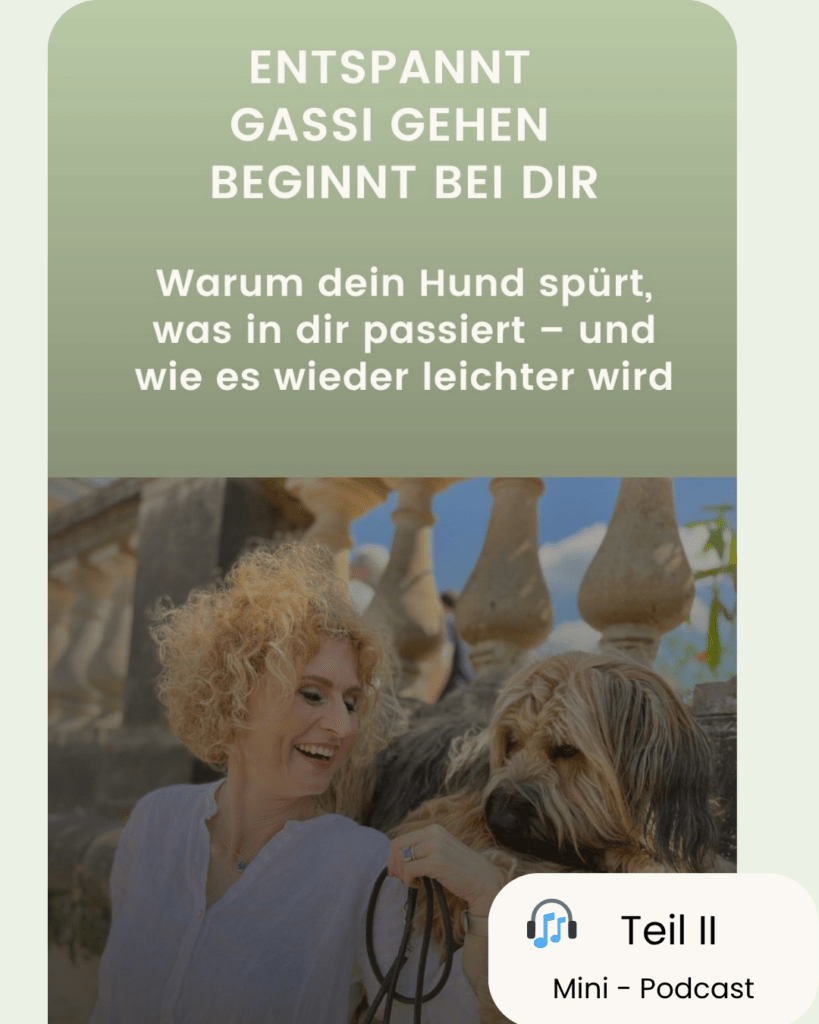 Mein Guide mit einem Hinweis auf meinen Mini Podcast