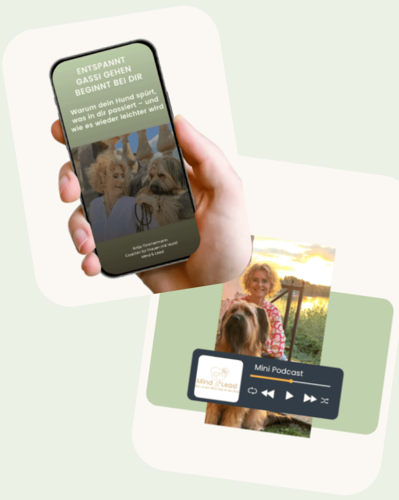 Das Bild zeigt beide kostenlosen Freebies, den guide und den Mini-Podcast