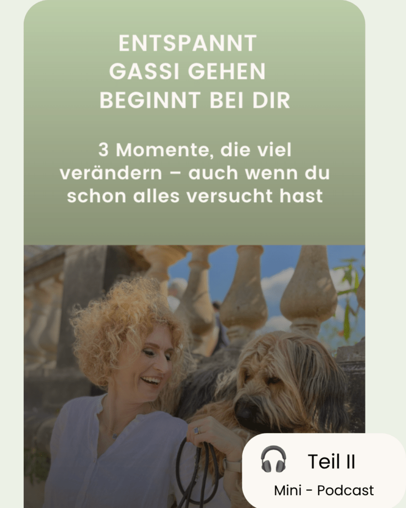 Hier ist mein 1. kostenloser Teil sichtbar. Es handelt sich um einen 28 seitigen kostenlosen Guide