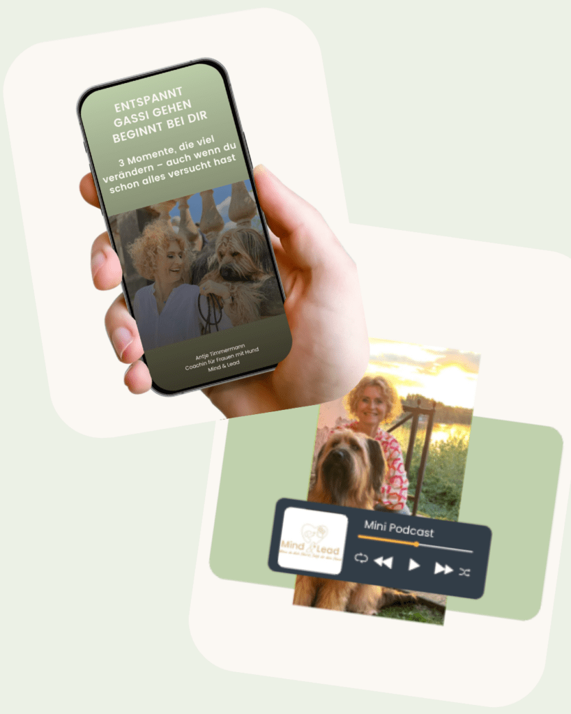 2 kostenlose teile sind sichtbar. der Guide und der Mini-Podcast