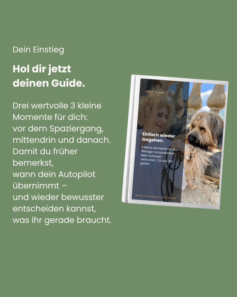 Auf dem Bild ist eine Vorschau des kostenlosen Guides zusehen zusammen mit der Inhaltsbeschreibung