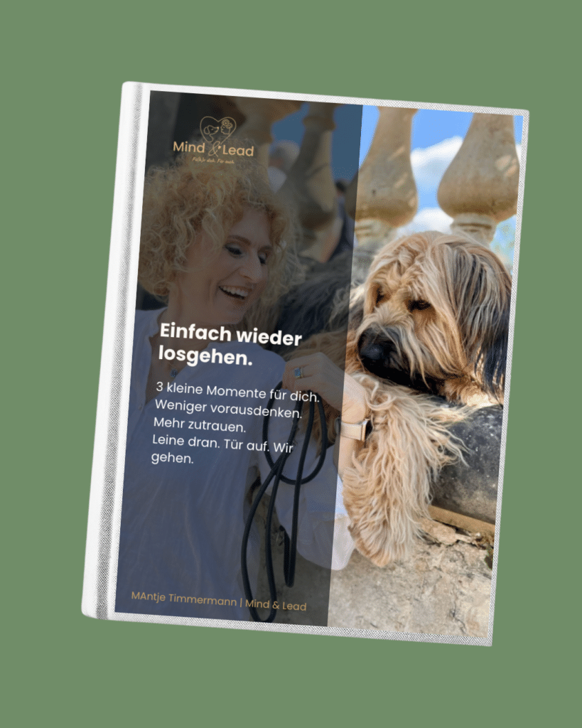 Es ist ein Buch zu sehen auf einem gründen Hintergrund mit dem Titelblatt des Mind& Lead kostenlosen Guides